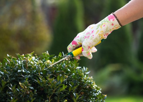 Gardener carrying out safe outdoor maintenance with protective awareness