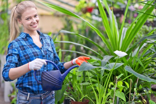 Landscaping ideas for a Crews Hill garden