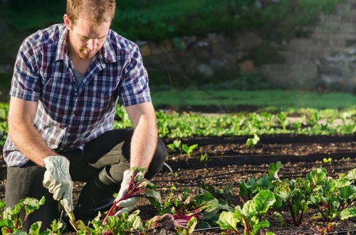 Professional lawn mowing in Crews Hill with a neatly cut residential garden