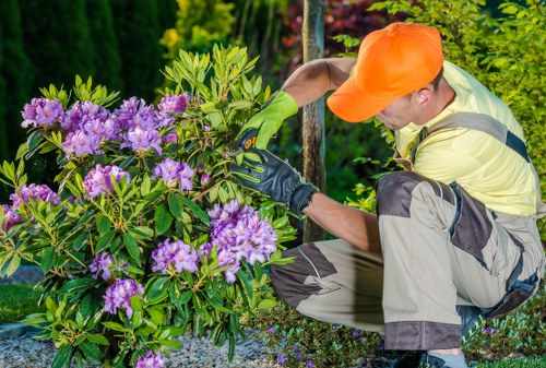 Gardeners Crews Hill modern slavery statement introduction