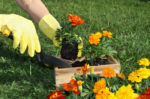 Well-maintained garden borders and shrubs in Crews Hill
