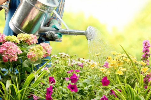 Lawn care and hedge trimming by local gardeners in Crews Hill