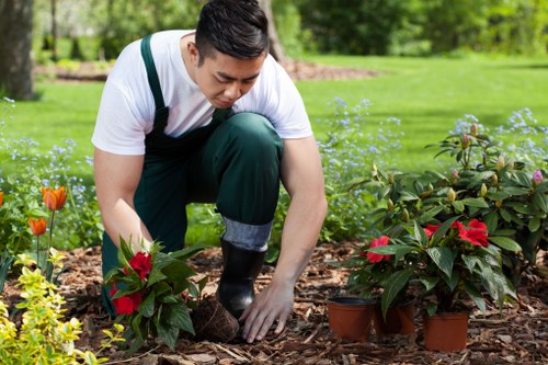 Different hedge types trimmed carefully in Crews Hill gardens