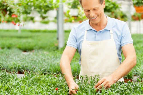 Professional lawn renovation and weed control in Crews Hill