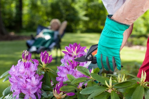 Crew Hill gardeners providing fair pricing for maintenance and bulk waste removal
