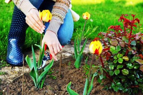 Safety-focused garden maintenance by Crews Hill gardeners