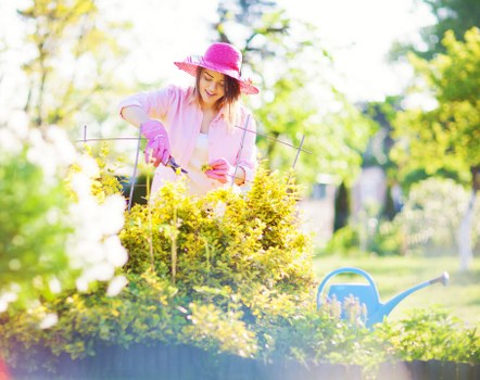 Written record of a gardening service complaint process