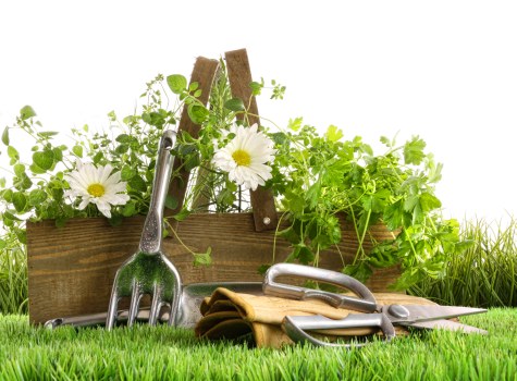 Final stage of a gardener complaints procedure with closure