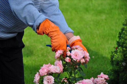 Professional garden maintenance in Crews Hill for healthy outdoor spaces