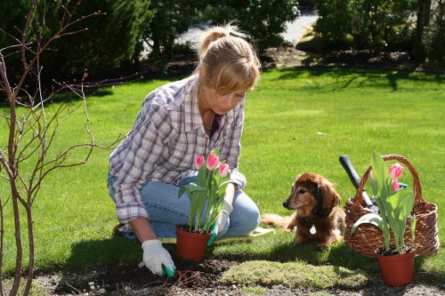 Well-kept Crews Hill garden with regular maintenance and border care