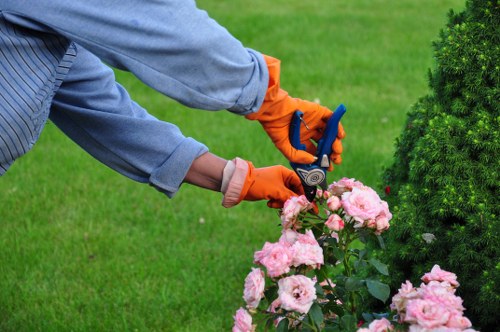 Watering and drainage support for lawn care in Crews Hill gardens