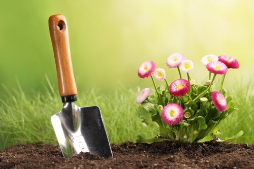 Professional garden improvement in Crews Hill