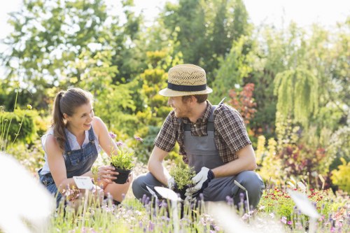 Garden maintenance work with tools and equipment on site