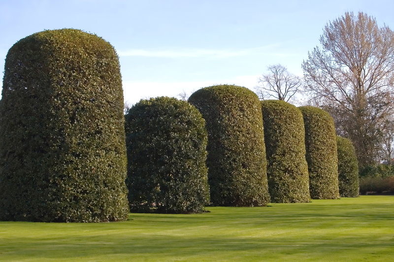 landscape design Garden